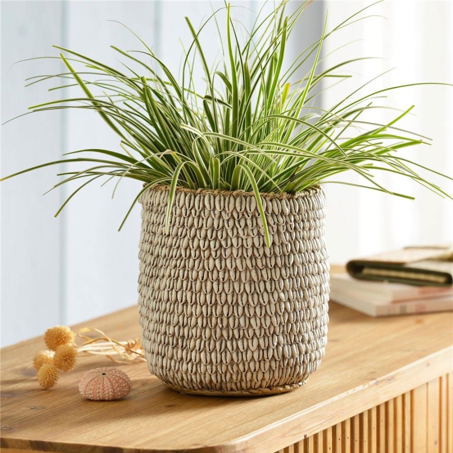 Becquet Cache-Pot Decor Coquillages En Resine | Vase, Cache-Pot